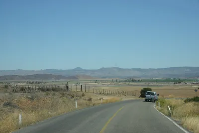 ENSC00030.jpg